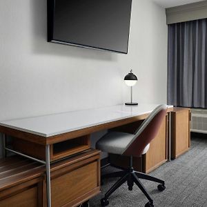 Suite 1 King Sofa bed